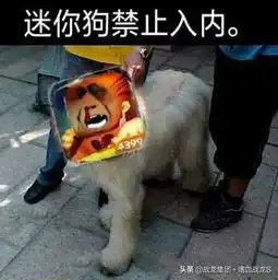 有人认为mc玩家没人管回答阅读量少可能是下面的原因
