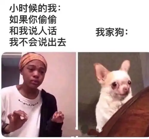 搞笑趣图狗狗被人类驯服前vs被驯服后
