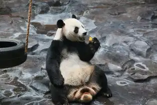 苹果花生红枣蜂蜜馅,你的中秋月饼如此花样吗
