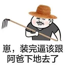 搞笑又装逼的表情包,崽,装完逼就下地干活去了
