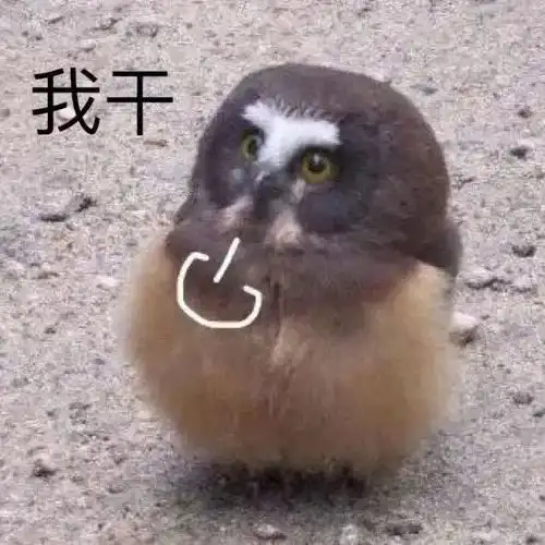 表情包有一说一,确实馋了

