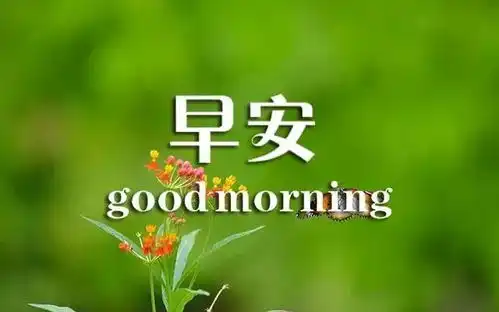 最美早安问候图片鲜花带字新的一天开始早安心语精美语句
