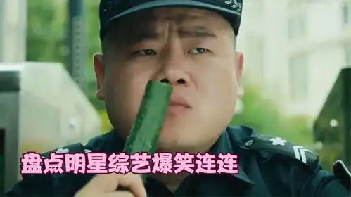 明星综艺爆笑连连,岳云鹏沙溢白鹿爆笑连连
