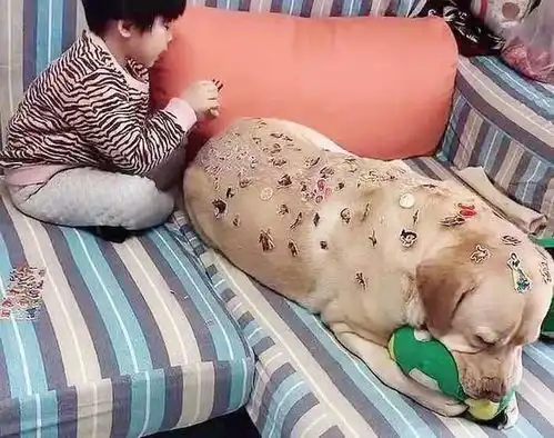 搞笑图片脸上的壁虎印记不是纹上的,你相信它是睡觉压的吗
