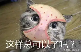 把狗脸遮上,出门别给我丢人
