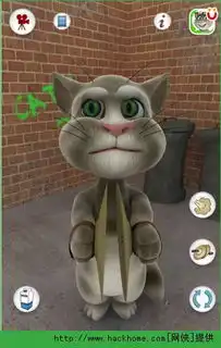 会说话的汤姆猫电脑破解版下载会说话的汤姆猫电脑破解版talkingtomv3.1.1嗨客手机游戏站
