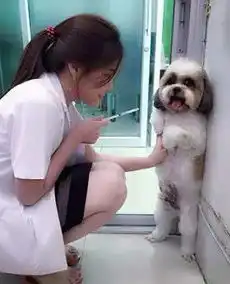 搞笑趣图你的腿好性感啊
