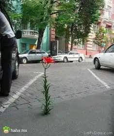转
