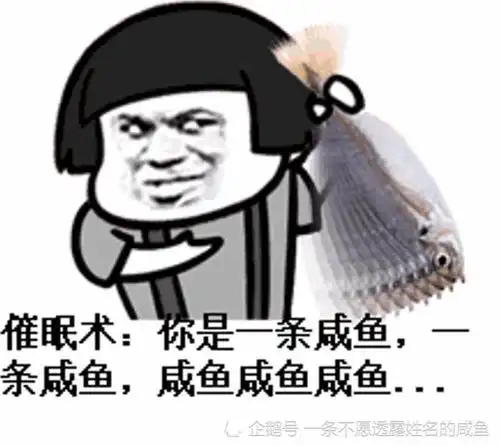 搞笑图文挣点鸟钱还要交税这它妈就是社会贫道对花木兰从军师太浪子回头网易订阅
