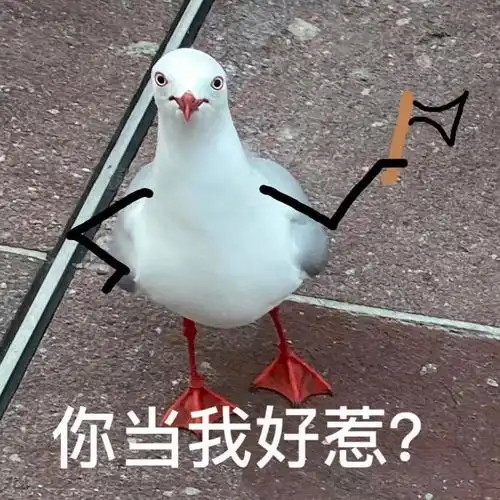 一本正经的沙雕文案合集
