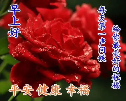 早上好图片大全最美图集,早上好祝福语短句子2020
