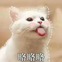 猫咪表情包头像搞笑微信头像图片大全
