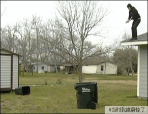 各种碉堡了搞笑动态图,不作死不会死

