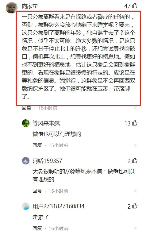 14头象掉头回迁离开昆明,一公象被落下12公里,网友这是探路象
