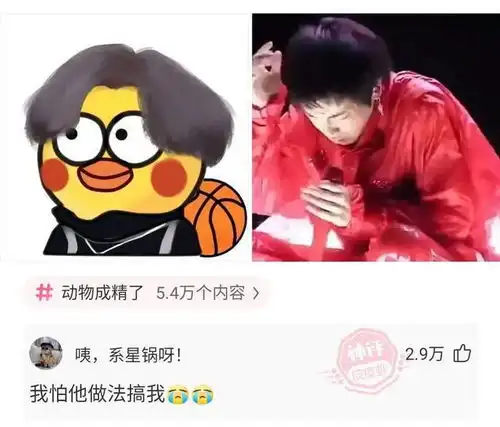 爆笑蔡徐坤被黑了这么多年,为什么没见有人黑华晨宇呢
