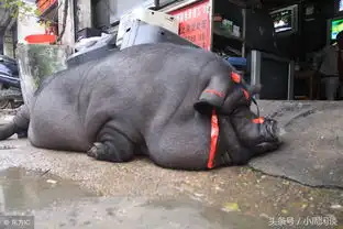 这就是我们大学周末的生活最搞笑有趣的瞬间,快来看看吧
