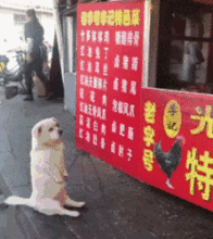 搞笑gif趣图老婆是拿走我的小金库的,防不胜防啊
