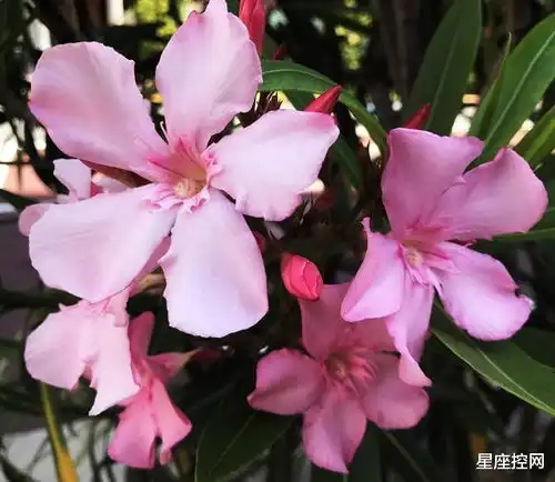 阴历生日是哪3个月的人,赚光明正大钱,走顺畅人生路,越过越好

