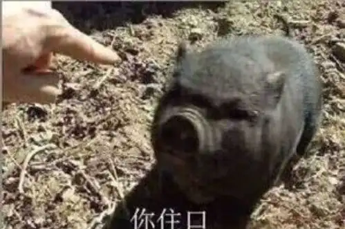 gif动图你能讲一个让人瞬间沙雕爆笑的笑话吗
