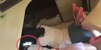 妹子真是饿的饥不择食了吗,这可是竹竿啊,你咬的动吗
