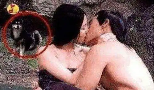 剧中穿帮镜头,唐僧穿衬衣,杨幂喝啤酒,最后一张太过分
