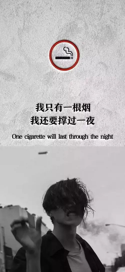 2月19日热门壁纸推荐
