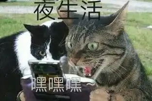 几个月了,是时候表白我舍友了

