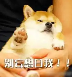 搞笑表情日了狗doge堆糖,美好生活研究所
