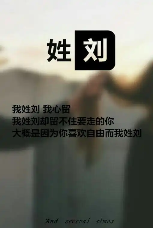 我的收藏
