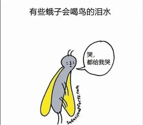 有什么搞笑的冷知识吗
