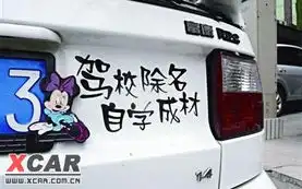 碧海潮生鹰的相片
