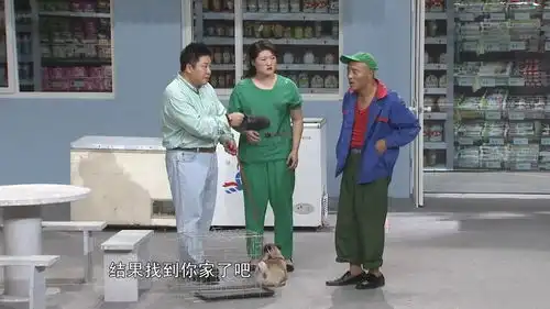 大脑袋请来的侦探狗,让赵四家鸡全部遭殃,爆笑对白笑喷丨快乐营
