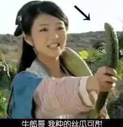 搞笑又奇葩的穿帮镜头,看一次笑一次,网友导演已经尽力了
