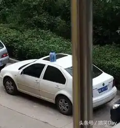 真太迟了,如今才想起来关门爸妈都已看清楚了
