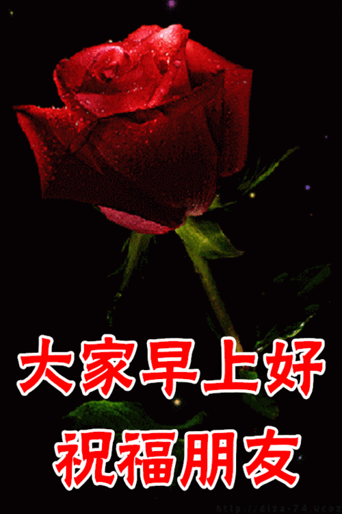 最新早上好祝福语动态图片带字
