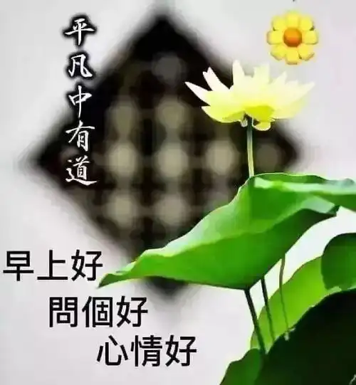 最新微信打招呼早上好问候语动态图带字清新漂亮早上好表情图片带字
