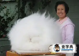 分享一坨棉花糖
