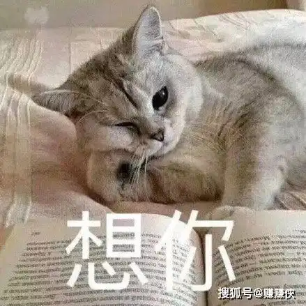 搞笑表情包图片请注意你的言行举止,略略略略
