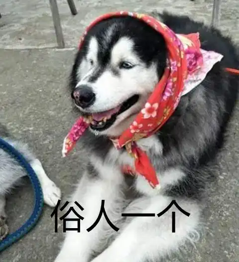艺术漆到底是漆,还是艺术

