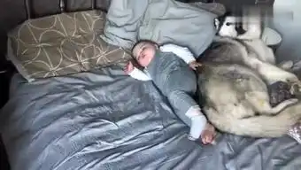 贪吃的猫儿呀的个人频道
