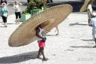 搞笑图片
