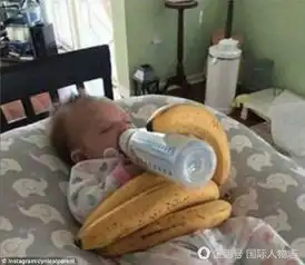 国外父母奇葩的看孩子方式让人哭笑不得

