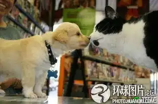 搞笑动物一箩筐大象聪明得匪夷所思组图
