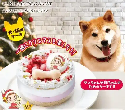 日本爆火宠物豪华年夜饭,一份上万日元网友这猫狗吃得比我还好啊
