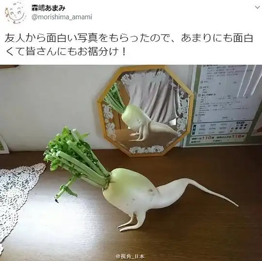 小驴的相册吃萝卜的人,你敢直视它的大腿吗
