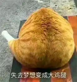 搞怪情侣头像来袭这波操作贼隐蔽,换上之后老妈看不出来
