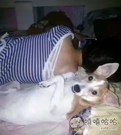 睡我的床还泡我的妹子
