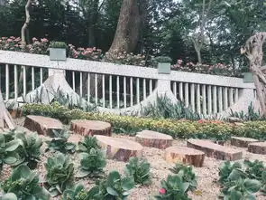 景美人少不花钱又好玩,南宁这个公园,森林中竟藏着一片小沙漠
