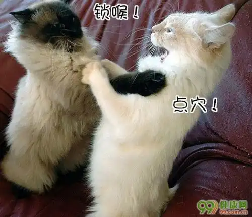 那些年,为了牙齿美白干过这些傻事

