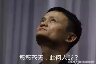 马云是如何练成攻守道的
